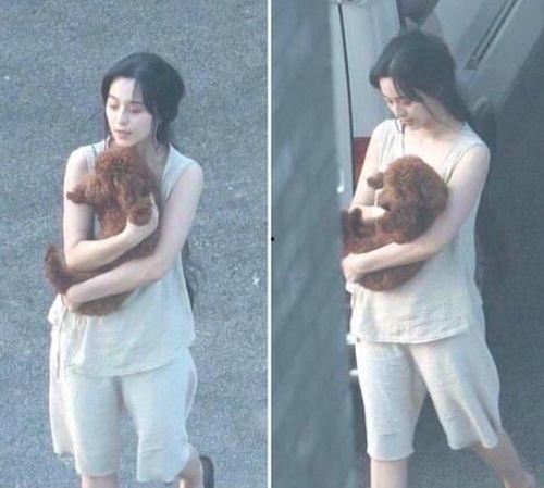 范冰冰爆料张嘉倪视频,视频曝光惊人内幕 第3张 范冰冰爆料张嘉倪视频,视频曝光惊人内幕 第3张